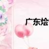 廣東燴飯（關于廣東燴飯介紹）