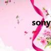 sony ex85（sony ex082）