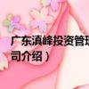 廣東滇峰投資管理有限公司（關于廣東滇峰投資管理有限公司介紹）