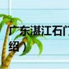 廣東湛江石門大橋（關于廣東湛江石門大橋介紹）