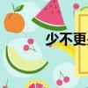 少不更是（關于少不更是簡介）