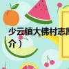 少云鎮大佛村志愿服務隊（關于少云鎮大佛村志愿服務隊簡介）