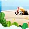 小龍膽系（關于小龍膽系簡介）