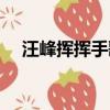 汪峰揮揮手歌詞含義（汪峰揮揮手歌詞）