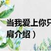 當我愛上你只是擦肩（關于當我愛上你只是擦肩介紹）
