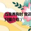 當我養狗時 我還養了一只貓（關于當我養狗時 我還養了一只貓介紹）