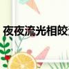 夜夜流光相皎潔是什么生肖（夜夜流水無情）