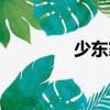少東家（關于少東家簡介）