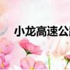小龍高速公路（關于小龍高速公路簡介）