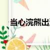 當心浣熊出沒（關于當心浣熊出沒介紹）