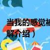 當我的感覺被你了解（關于當我的感覺被你了解介紹）