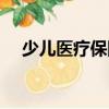 少兒醫療保險（關于少兒醫療保險簡介）