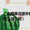 廣東煙草河源市有限責任公司（關于廣東煙草河源市有限責任公司介紹）