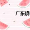 廣東燒鵝（關于廣東燒鵝介紹）
