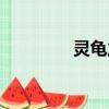 靈龜之淵（靈龜之家論壇）