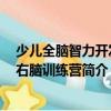 少兒全腦智力開發：右腦訓練營（關于少兒全腦智力開發：右腦訓練營簡介）
