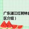 廣東湛江紅樹林自然保護區（關于廣東湛江紅樹林自然保護區介紹）
