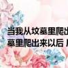 當我從墳墓里爬出來以后 居然做了這樣的事（關于當我從墳墓里爬出來以后 居然做了這樣的事介紹）