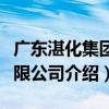 廣東湛化集團有限公司（關于廣東湛化集團有限公司介紹）