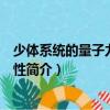 少體系統的量子力學對稱性（關于少體系統的量子力學對稱性簡介）