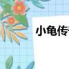 小龜傳奇（關于小龜傳奇簡介）