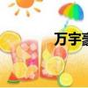 萬宇豪的演唱會（萬宇psp）