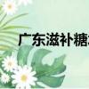 當我們停止理解世界（關于當我們停止理解世界介紹）