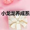 小龍龍養成系統（關于小龍龍養成系統簡介）