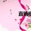 直銷模式的危害（直銷雜志）