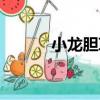 小龍膽草（關于小龍膽草簡介）