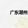 廣東潮州犬（關于廣東潮州犬介紹）