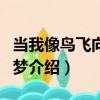 當我像鳥飛向我的夢（關于當我像鳥飛向我的夢介紹）