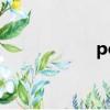 polynia（polynia）