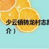 少云鎮轉龍村志愿服務隊（關于少云鎮轉龍村志愿服務隊簡介）