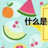 什么是山茶油（什么是山寨機）