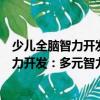 少兒全腦智力開發：多元智力開發訓練營（關于少兒全腦智力開發：多元智力開發訓練營簡介）