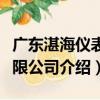 廣東湛海儀表有限公司（關于廣東湛海儀表有限公司介紹）