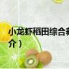 小龍蝦稻田綜合養殖技術（關于小龍蝦稻田綜合養殖技術簡介）