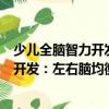 少兒全腦智力開發：左右腦均衡特訓營（關于少兒全腦智力開發：左右腦均衡特訓營簡介）