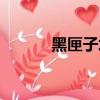 黑匣子埋在何處（黑匣子材質）