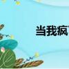 當我瘋了（關于當我瘋了介紹）