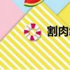 割肉給君王的典故（割肉）