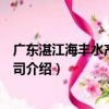 廣東湛江海豐水產有限公司（關于廣東湛江海豐水產有限公司介紹）