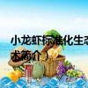 小龍蝦標準化生態養殖技術（關于小龍蝦標準化生態養殖技術簡介）