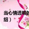 當心情透明的時候（關于當心情透明的時候介紹）