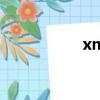 xmedia掌中影音伴侶