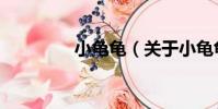 小龜龜(關于小龜龜簡介)