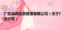 廣東滇峰投資管理有限公司(關于廣東滇峰投資管理有限公司介紹)