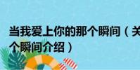 當我愛上你的那個瞬間(關于當我愛上你的那個瞬間介紹)