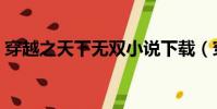 穿越之天下無雙小說下載(穿越之天下無雙)